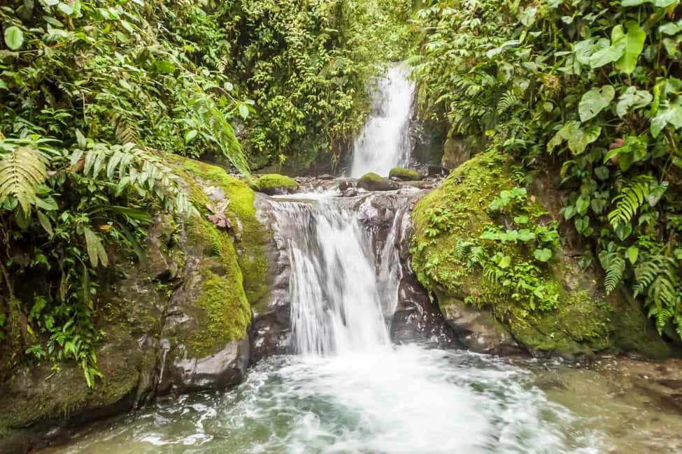 Bosque Nublado de Mindo, naturaleza en Ecuador